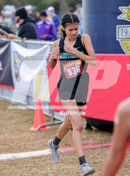 Thumbnail 3 in CIF Central Section Cross Country Championships (Girls D3 Race) photogallery.