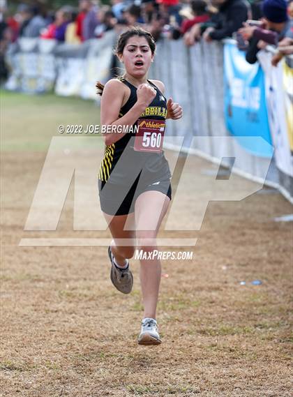 Thumbnail 1 in CIF Central Section Cross Country Championships (Girls D3 Race) photogallery.