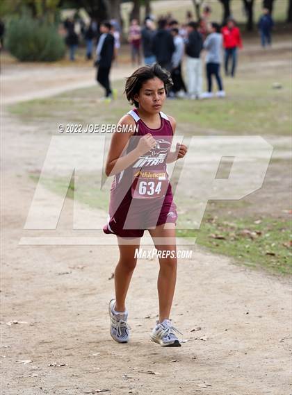 Thumbnail 2 in CIF Central Section Cross Country Championships (Girls D3 Race) photogallery.
