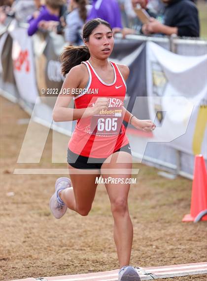 Thumbnail 1 in CIF Central Section Cross Country Championships (Girls D3 Race) photogallery.