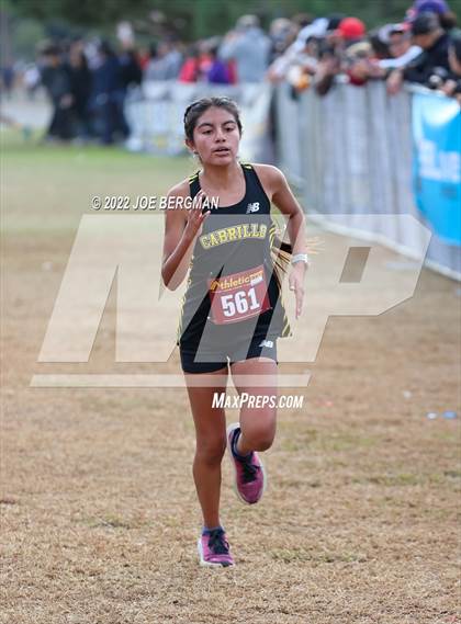 Thumbnail 2 in CIF Central Section Cross Country Championships (Girls D3 Race) photogallery.