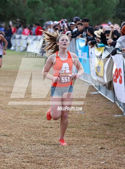 Thumbnail 1 in CIF Central Section Cross Country Championships (Girls D3 Race) photogallery.