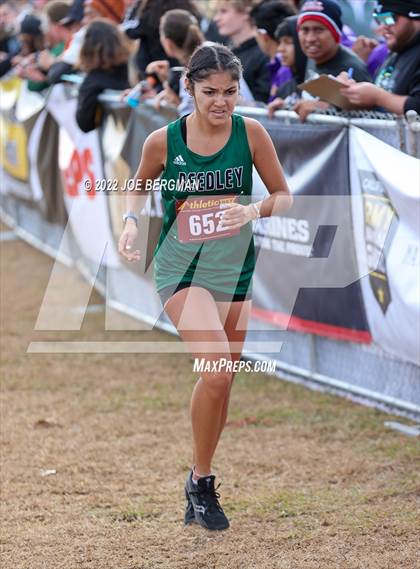 Thumbnail 3 in CIF Central Section Cross Country Championships (Girls D3 Race) photogallery.