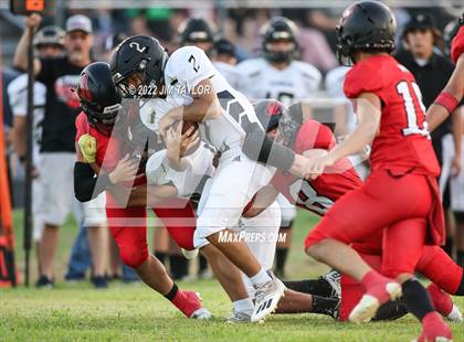 Thumbnail 3 in Gordon @ Strawn photogallery.