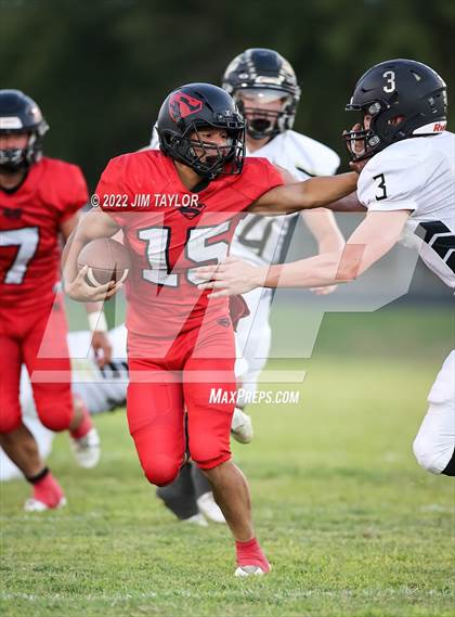 Thumbnail 3 in Gordon @ Strawn photogallery.