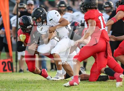Thumbnail 1 in Gordon @ Strawn photogallery.