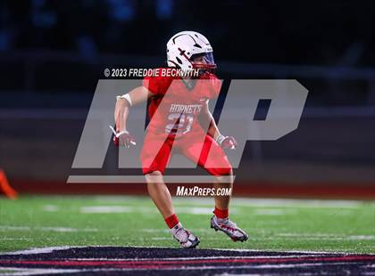 Thumbnail 2 in Pottsboro @ Muenster photogallery.