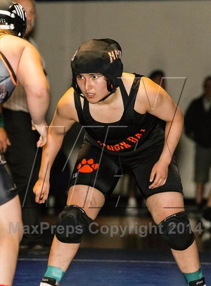 Thumbnail 1 in CCS Girls Wrestling Championships (Finals and Awards)  photogallery.