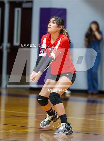 Thumbnail 3 in Center Hill @ DeSoto Central photogallery.