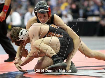 Thumbnail 3 in CHSAA State Wrestling Championships (3A Finals) photogallery.