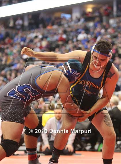 Thumbnail 2 in CHSAA State Wrestling Championships (3A Finals) photogallery.