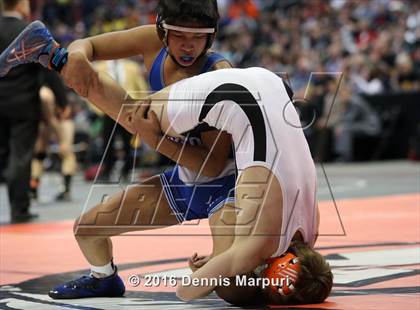 Thumbnail 2 in CHSAA State Wrestling Championships (3A Finals) photogallery.