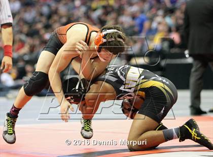 Thumbnail 2 in CHSAA State Wrestling Championships (3A Finals) photogallery.