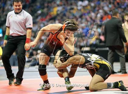 Thumbnail 1 in CHSAA State Wrestling Championships (3A Finals) photogallery.