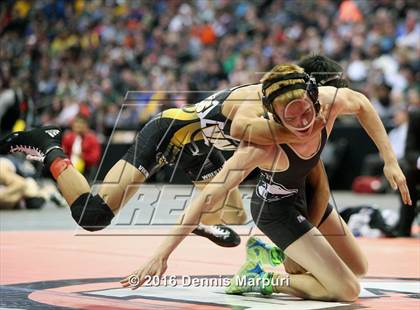 Thumbnail 1 in CHSAA State Wrestling Championships (3A Finals) photogallery.
