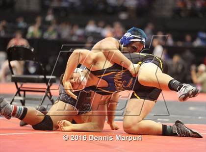 Thumbnail 2 in CHSAA State Wrestling Championships (3A Finals) photogallery.