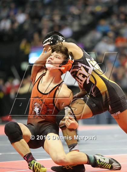 Thumbnail 3 in CHSAA State Wrestling Championships (3A Finals) photogallery.