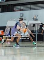 Photo from the gallery "Cypress Lake @ Mariner"