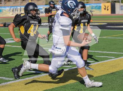 Thumbnail 3 in Camarillo @ Ventura photogallery.