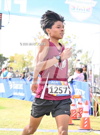 Thumbnail 3 in AIA Division I Championships photogallery.