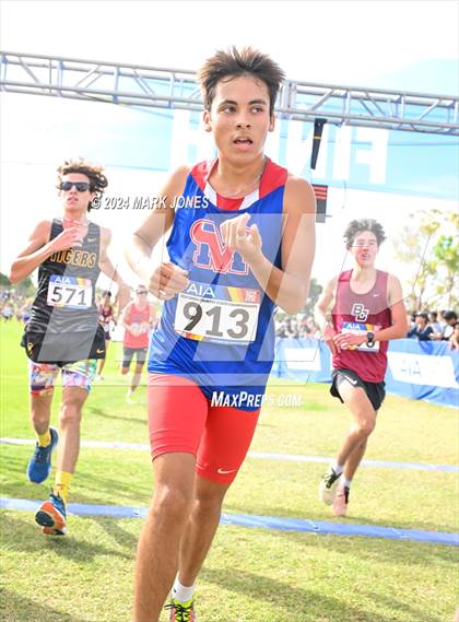 Thumbnail 1 in AIA Division I Championships photogallery.