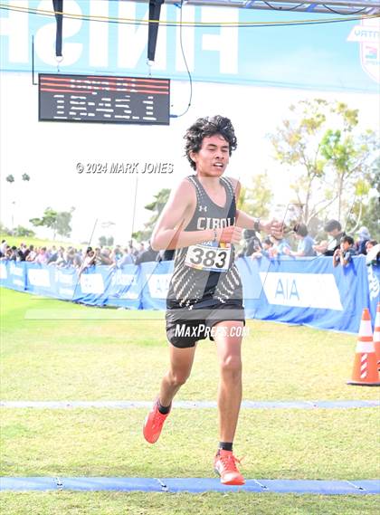 Thumbnail 2 in AIA Division I Championships photogallery.