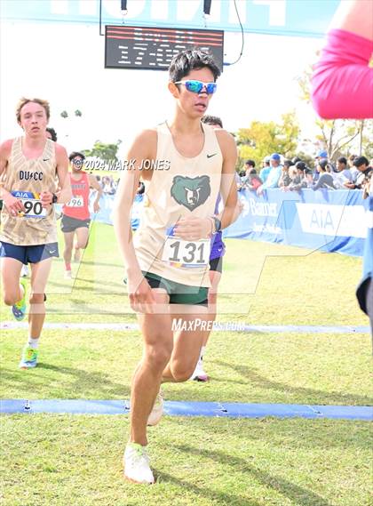 Thumbnail 2 in AIA Division I Championships photogallery.