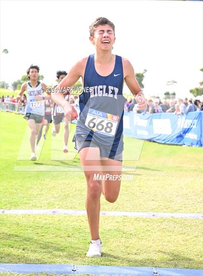 Thumbnail 3 in AIA Division I Championships photogallery.
