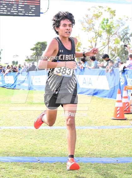 Thumbnail 1 in AIA Division I Championships photogallery.