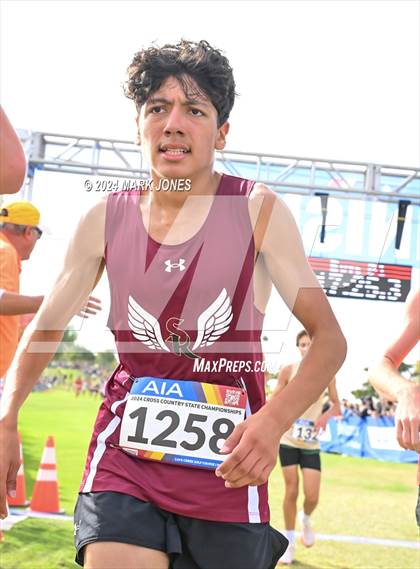 Thumbnail 3 in AIA Division I Championships photogallery.
