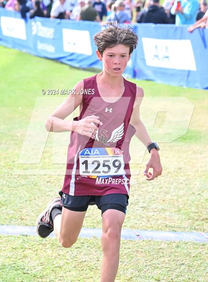 Thumbnail 1 in AIA Division I Championships photogallery.