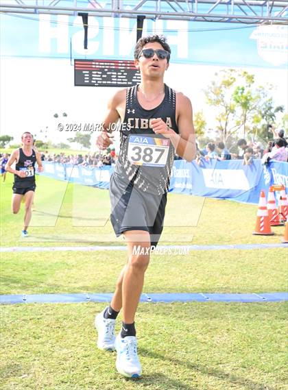 Thumbnail 2 in AIA Division I Championships photogallery.