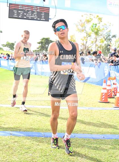 Thumbnail 1 in AIA Division I Championships photogallery.