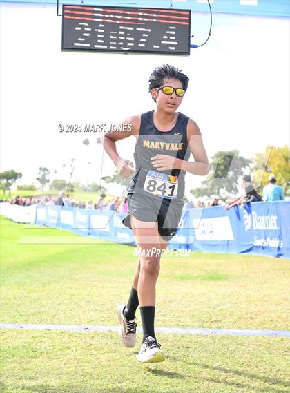 Thumbnail 2 in AIA Division I Championships photogallery.