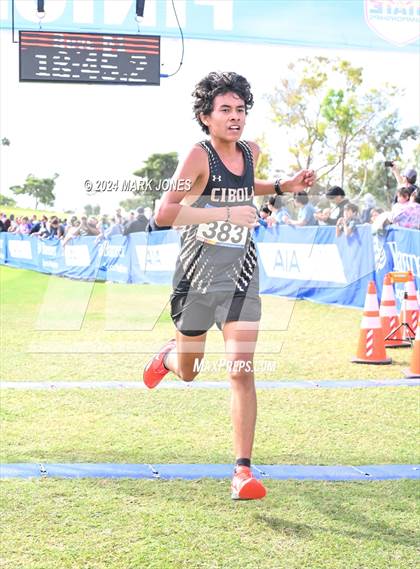 Thumbnail 3 in AIA Division I Championships photogallery.