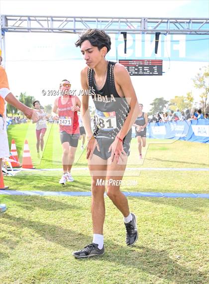 Thumbnail 3 in AIA Division I Championships photogallery.