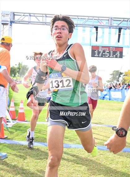 Thumbnail 1 in AIA Division I Championships photogallery.