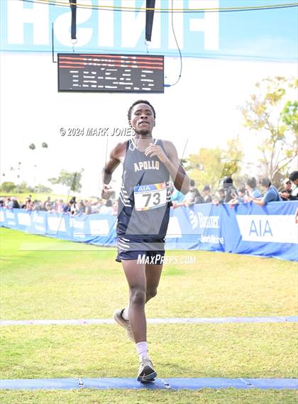 Thumbnail 1 in AIA Division I Championships photogallery.