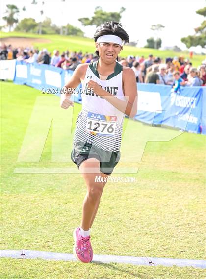 Thumbnail 2 in AIA Division I Championships photogallery.