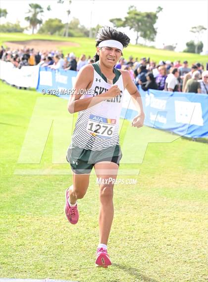 Thumbnail 1 in AIA Division I Championships photogallery.