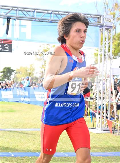 Thumbnail 3 in AIA Division I Championships photogallery.