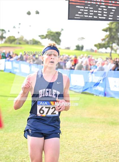 Thumbnail 1 in AIA Division I Championships photogallery.