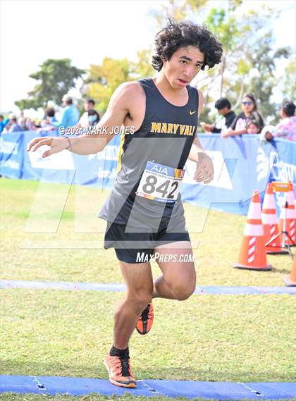 Thumbnail 1 in AIA Division I Championships photogallery.