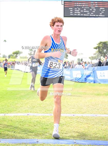 Thumbnail 1 in AIA Division I Championships photogallery.