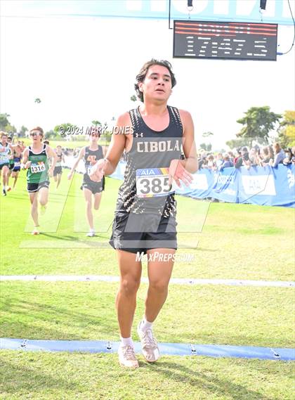 Thumbnail 1 in AIA Division I Championships photogallery.