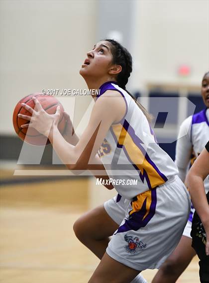 Thumbnail 3 in Edison [Thomas A.] vs Brackenridge photogallery.