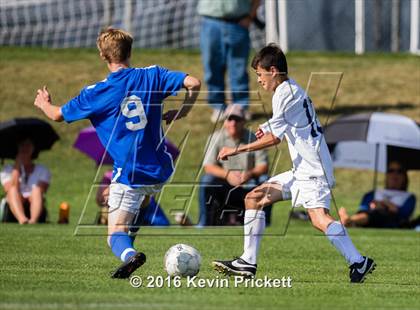 Thumbnail 3 in Poudre @ Columbine photogallery.