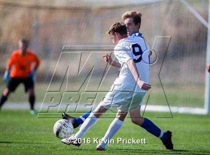 Thumbnail 1 in Poudre @ Columbine photogallery.