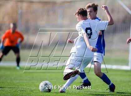 Thumbnail 2 in Poudre @ Columbine photogallery.