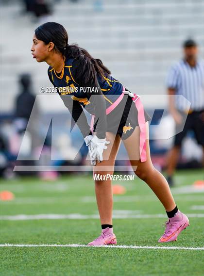 Thumbnail 1 in Pioneer @ Lincoln photogallery.